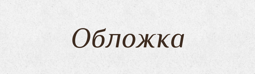 Обложка — Словник чужомовних слів і термінів