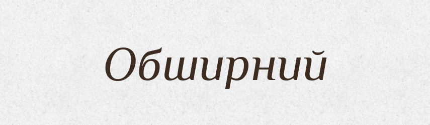 Обширний — Словник чужомовних слів і термінів