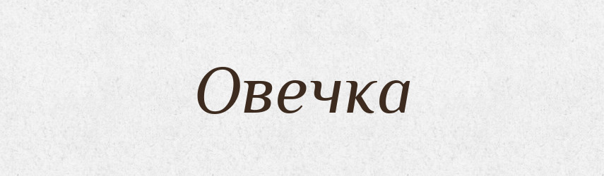 Овечка — Словник чужомовних слів і термінів