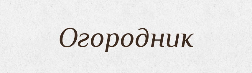 Огородник — Словник чужомовних слів і термінів