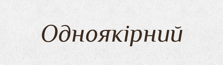 Одноякірний — Словник чужомовних слів і термінів