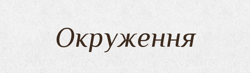 Окруження — Словник чужомовних слів і термінів