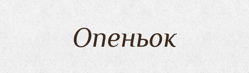 Опеньок — Словник чужомовних слів і термінів