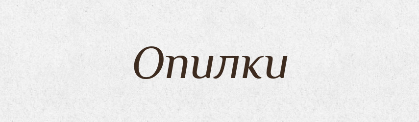 Опилки — Словник чужомовних слів і термінів