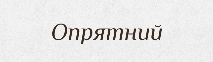 Опрятний — Словник чужомовних слів і термінів