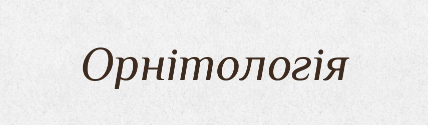 Орнітологія — Словник чужомовних слів і термінів