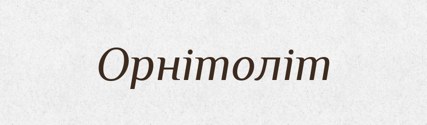 Орнітоліт — Словник чужомовних слів і термінів