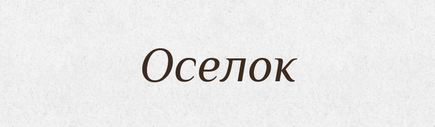 Оселок — Словник чужомовних слів і термінів