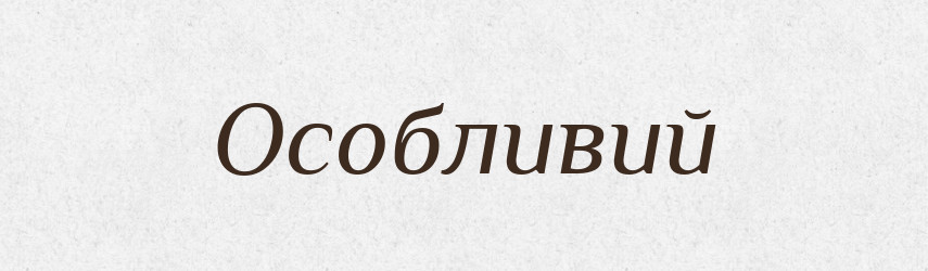 Особливий — Словник чужомовних слів і термінів