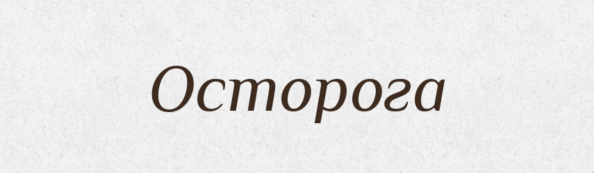 Осторога — Словник чужомовних слів і термінів