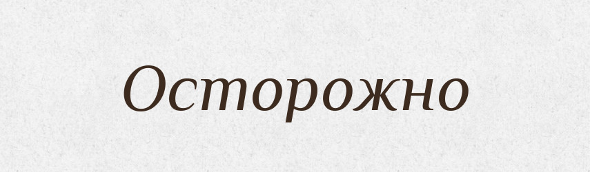 Осторожно — Словник чужомовних слів і термінів