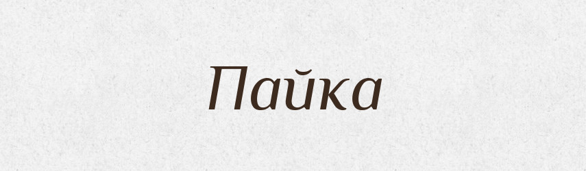 Пайка — Словник чужомовних слів і термінів