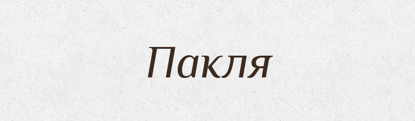 Пакля — Словник чужомовних слів і термінів