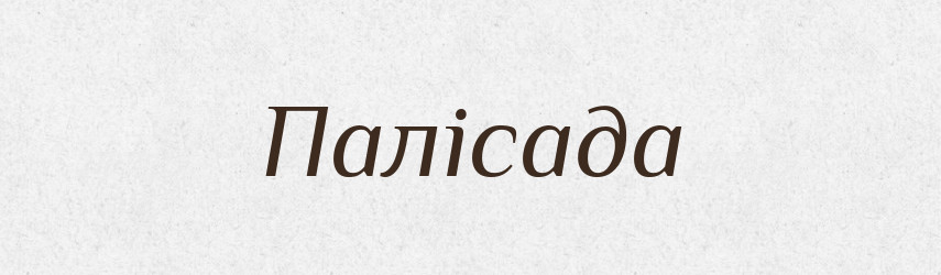 Палісада — Словник чужомовних слів і термінів