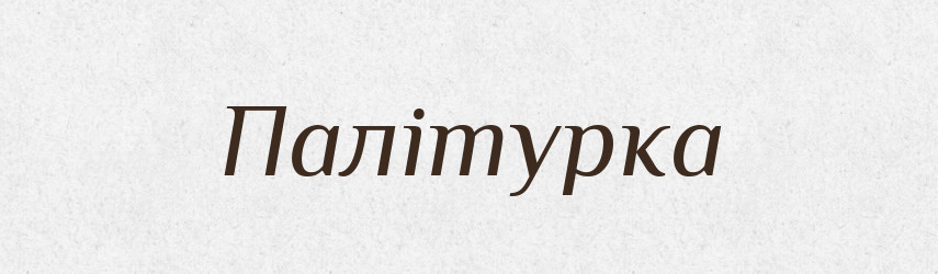 Палітурка — Словник чужомовних слів і термінів