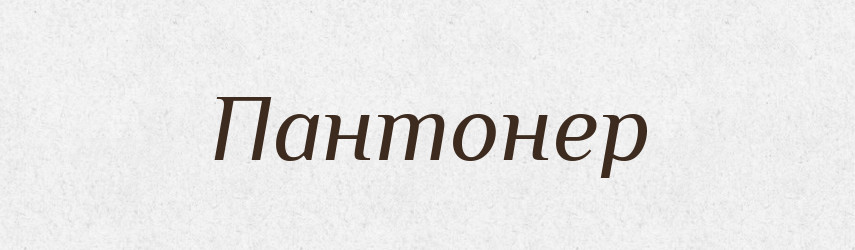 Пантонер — Словник чужомовних слів і термінів