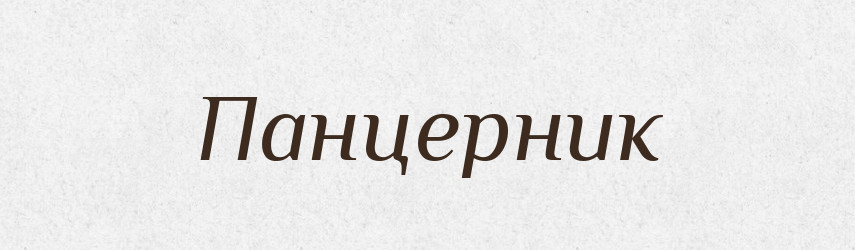 Панцерник — Словник чужомовних слів і термінів