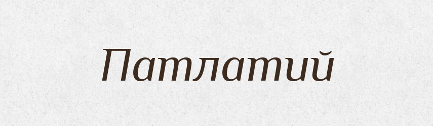 Патлатий — Словник чужомовних слів і термінів