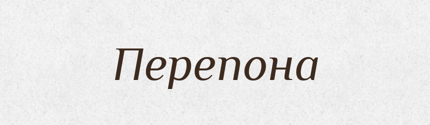Перепона — Словник чужомовних слів і термінів