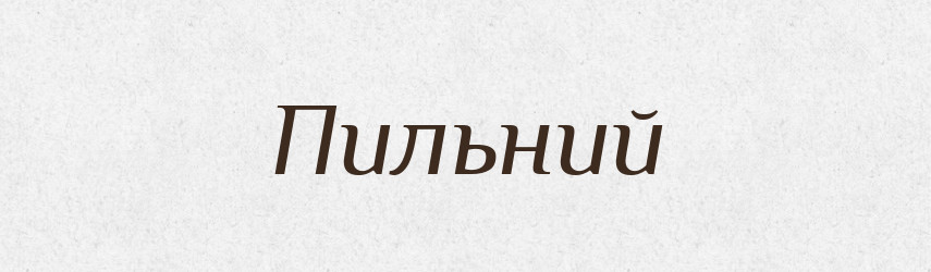Пильний — Словник чужомовних слів і термінів