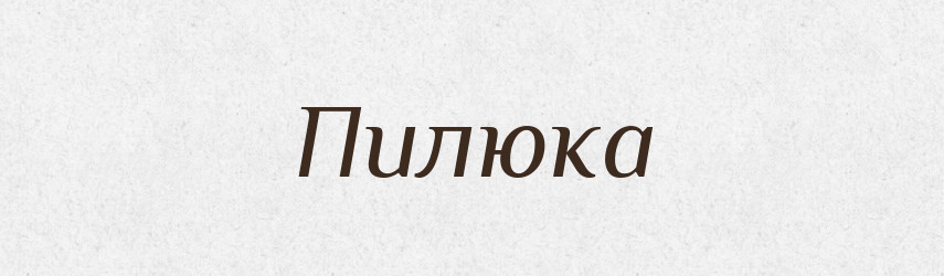 Пилюка — Словник чужомовних слів і термінів