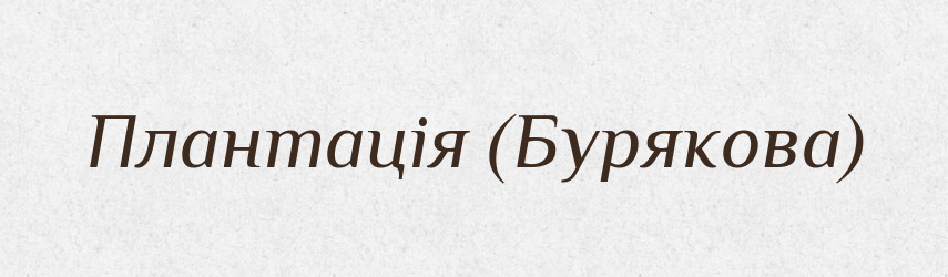 Плантація (Бурякова) — Словник чужомовних слів і термінів