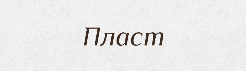 Пласт — Словник чужомовних слів і термінів