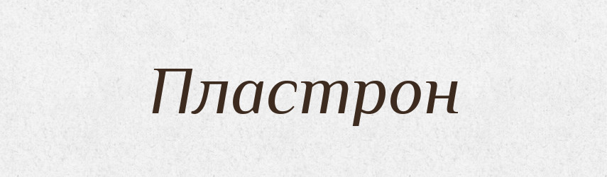 Пластрон — Словник чужомовних слів і термінів