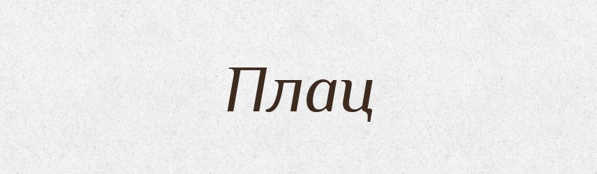 Плац — Словник чужомовних слів і термінів
