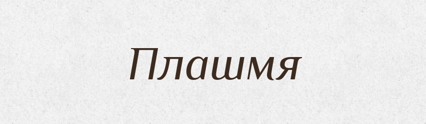 Плашмя — Словник чужомовних слів і термінів