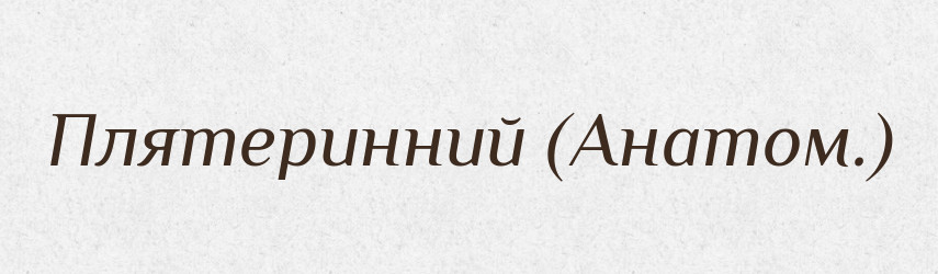Плятеринний (Анатом.) — Словник чужомовних слів і термінів