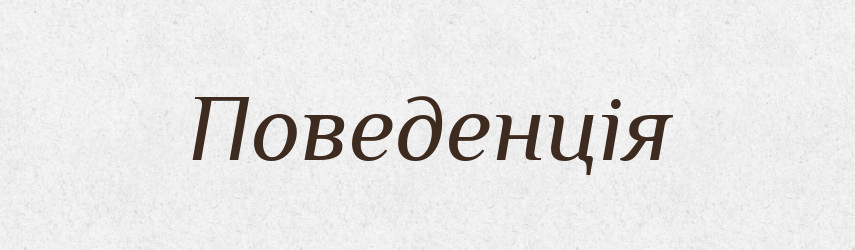 Поведенція — Словник чужомовних слів і термінів