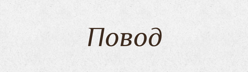Повод — Словник чужомовних слів і термінів