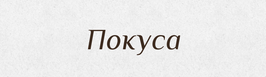 Покуса — Словник чужомовних слів і термінів
