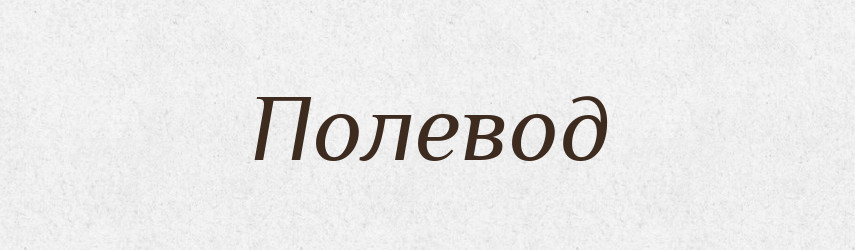 Полевод — Словник чужомовних слів і термінів