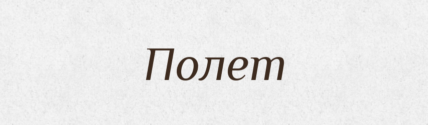 Полет — Словник чужомовних слів і термінів