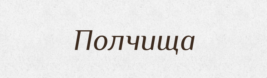 Полчища — Словник чужомовних слів і термінів