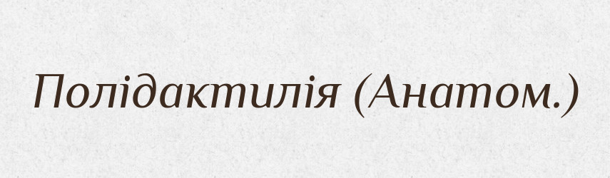 Полідактилія (Анатом.) — Словник чужомовних слів і термінів
