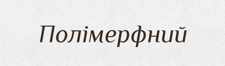 Полімерфний — Словник чужомовних слів і термінів
