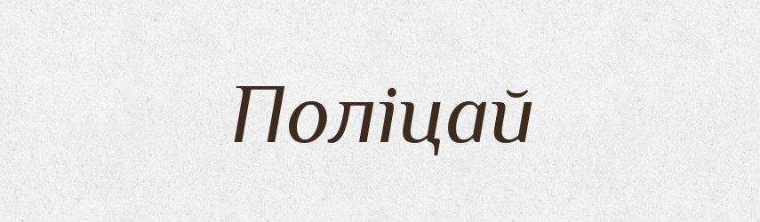 Поліцай — Словник чужомовних слів і термінів