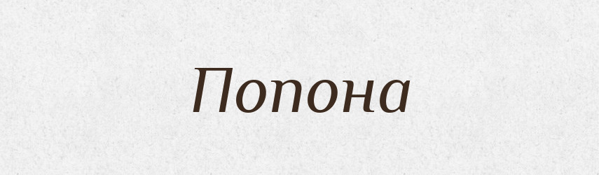 Попона — Словник чужомовних слів і термінів