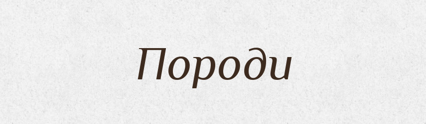 Породи — Словник чужомовних слів і термінів