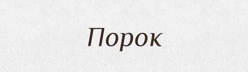 Порок — Словник чужомовних слів і термінів