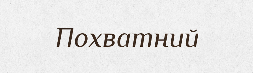 Похватний — Словник чужомовних слів і термінів