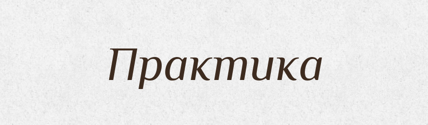 Практика — Словник чужомовних слів і термінів