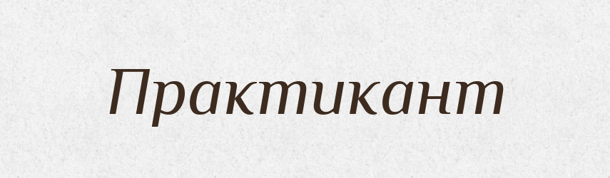 Практикант — Словник чужомовних слів і термінів