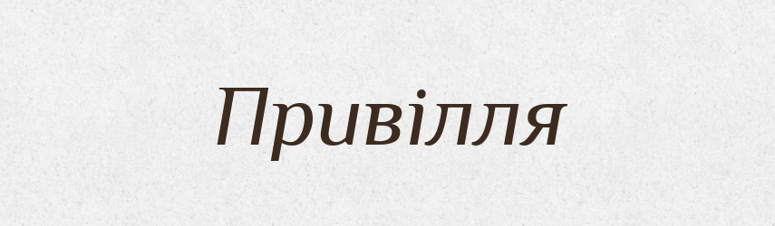 Привілля — Словник чужомовних слів і термінів