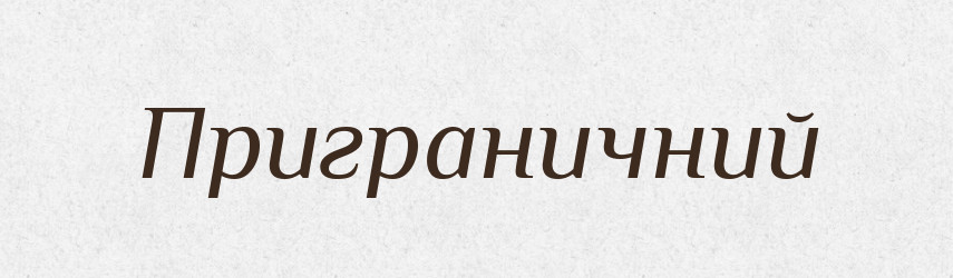 Приграничний — Словник чужомовних слів і термінів