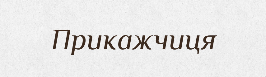 Прикажчиця — Словник чужомовних слів і термінів