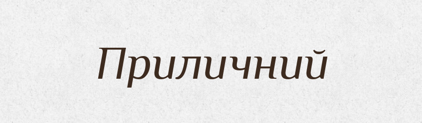Приличний — Словник чужомовних слів і термінів
